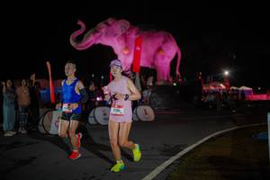 BIB: 
                            <button type="button" onclick="openModal(26551897)" class="btn btn-primary btn-sm float-right btn-popup" data-toggle="modal" data-target=".modal-high-quality">
                        <i class="fas fa-shopping-cart"></i> Add to Cart
                    </button>
                                            <button type="button" onclick="isThisMe(26551897, true)" class="btn btn-success btn-sm float-right btn-popup btn-isme hidden" data-toggle="tooltip" data-placement="bottom" title="นี่คือรูปของคุณใช่ไหม คลิกที่นี่เพื่อเอาเข้าอัลบั้ม">
                        <i class="fas fa-plus"></i> Add to album
                    </button>
                    <button type="button" onclick="isThisMe(26551897, false)" class="btn btn-warning btn-sm float-right btn-popup btn-isnotme hidden">
                        <i class="fas fa-ban"></i> Remove from album
                    </button>